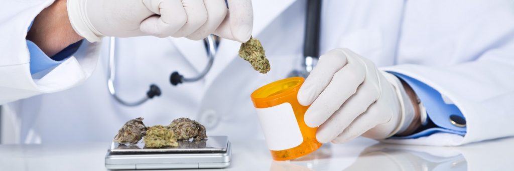 Medical Cannabis Security: From Seed to Sale blog photo