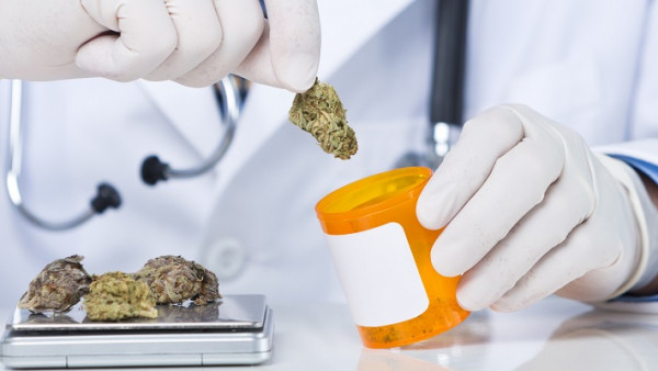 Medical Cannabis Security: From Seed to Sale